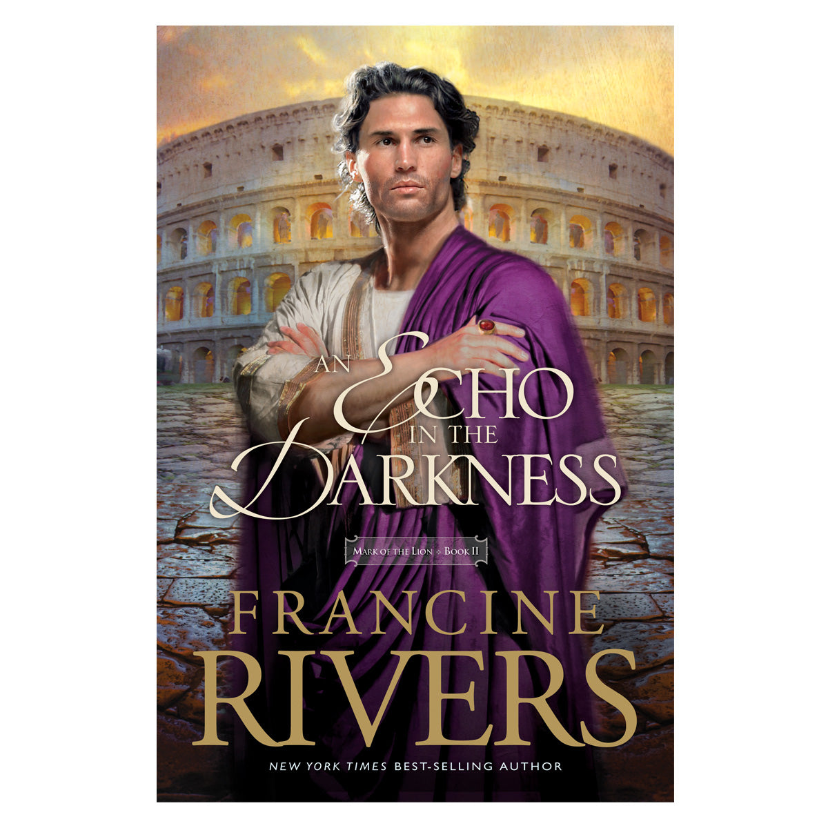 An Echo In The Darkness (2 Mark Of The Lion)(Paperback)