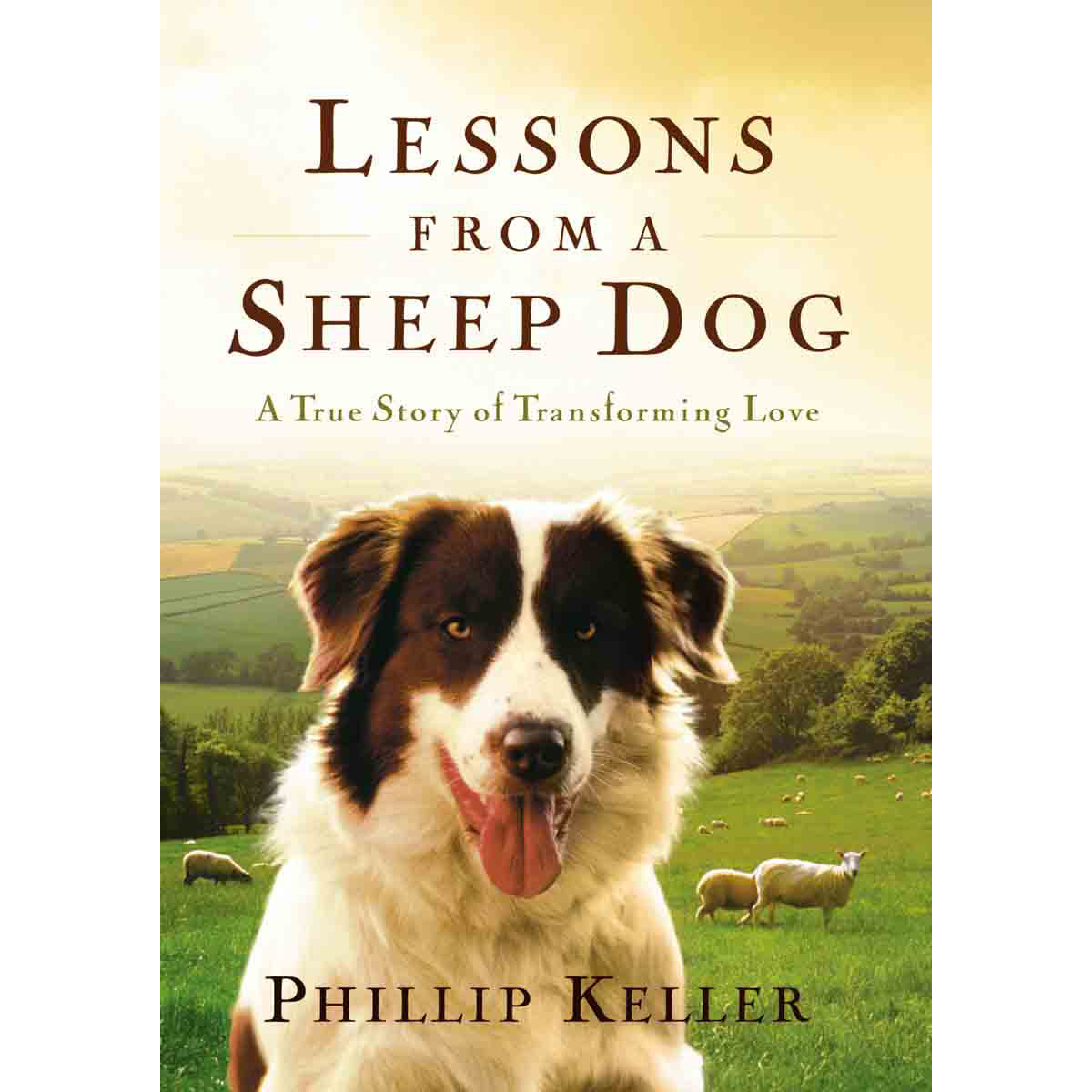 Lessons From A Sheep Dog (Hardcover)