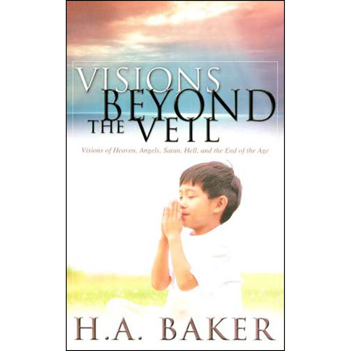 Visions Beyond The Veil (Paperback)