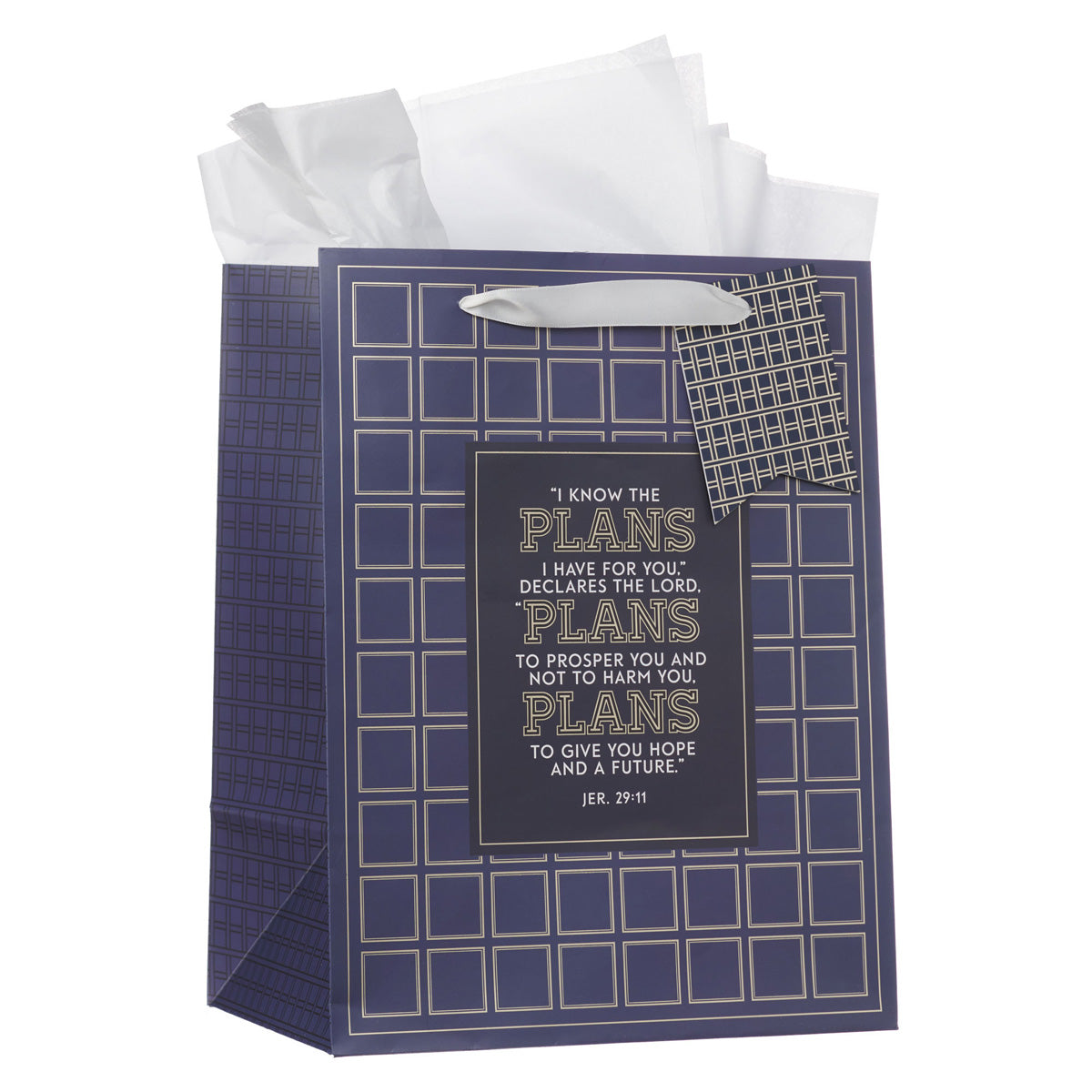 I Know the Plans Grid Navy Portrait Gift Bag with Gift Tag