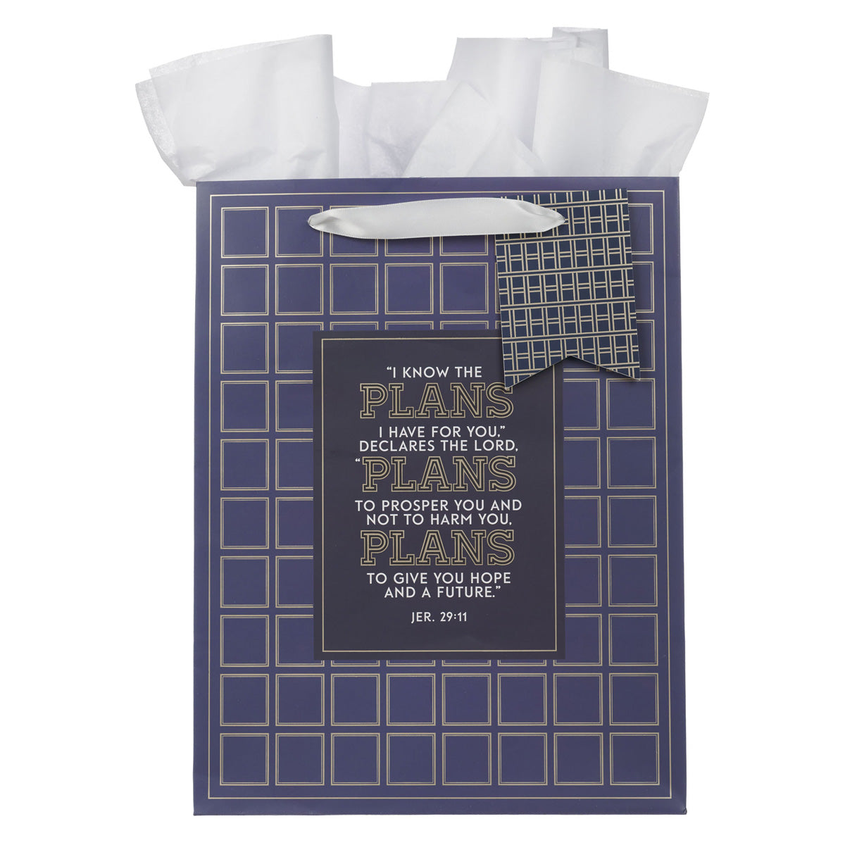 I Know the Plans Grid Navy Portrait Gift Bag with Gift Tag