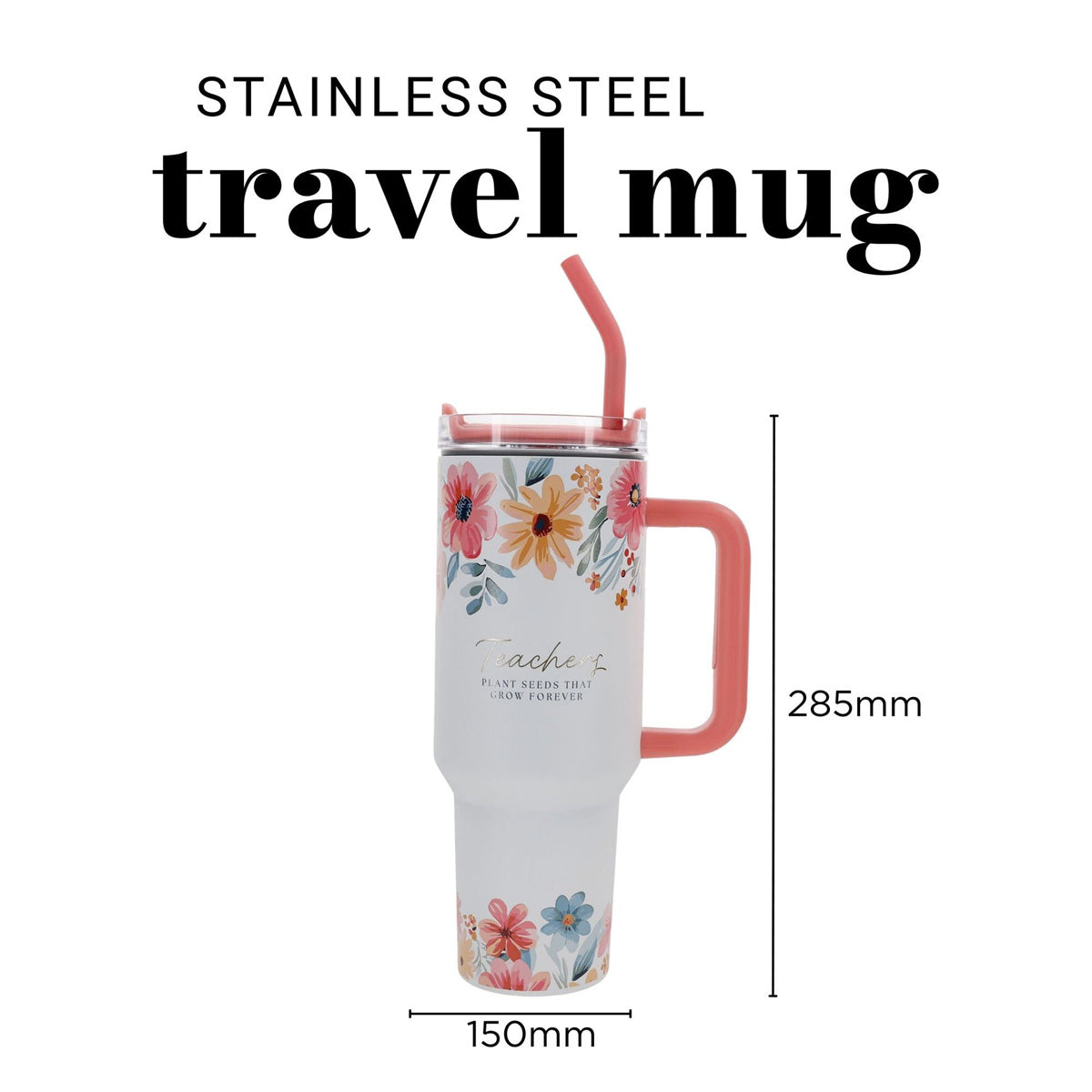Teachers Plant Seeds That Grow Forever Large Stainless Steel Mug with Handle and Straw