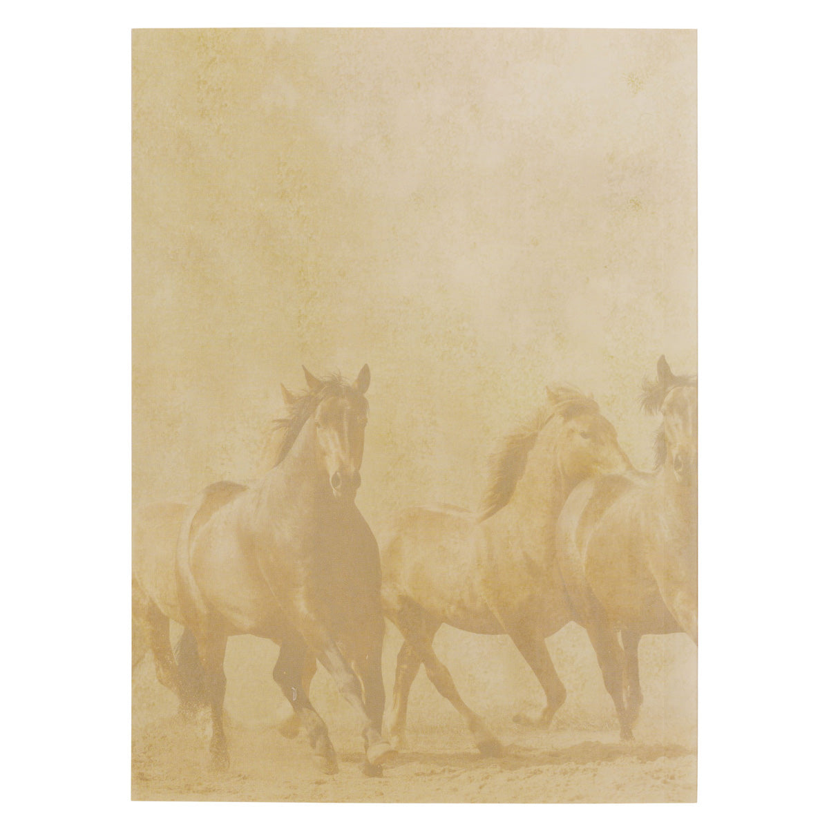 Let Us Run with Perseverance the Race Marked Out for Us Notebook