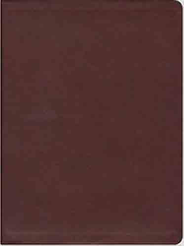 The Message Large Print Burgundy (Imitation Leather)