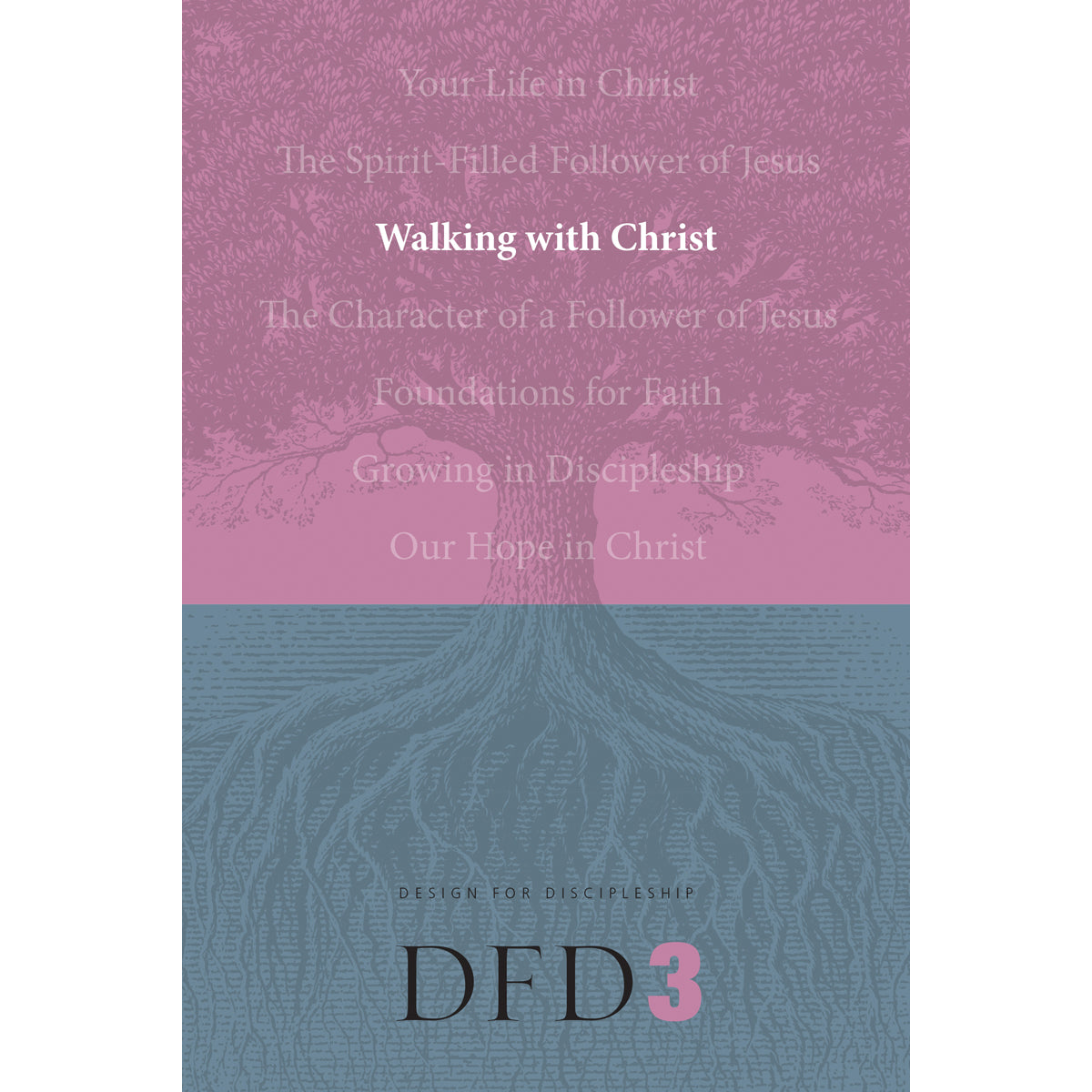 Walking With Christ (3 Design For Discipleship)(Paperback)