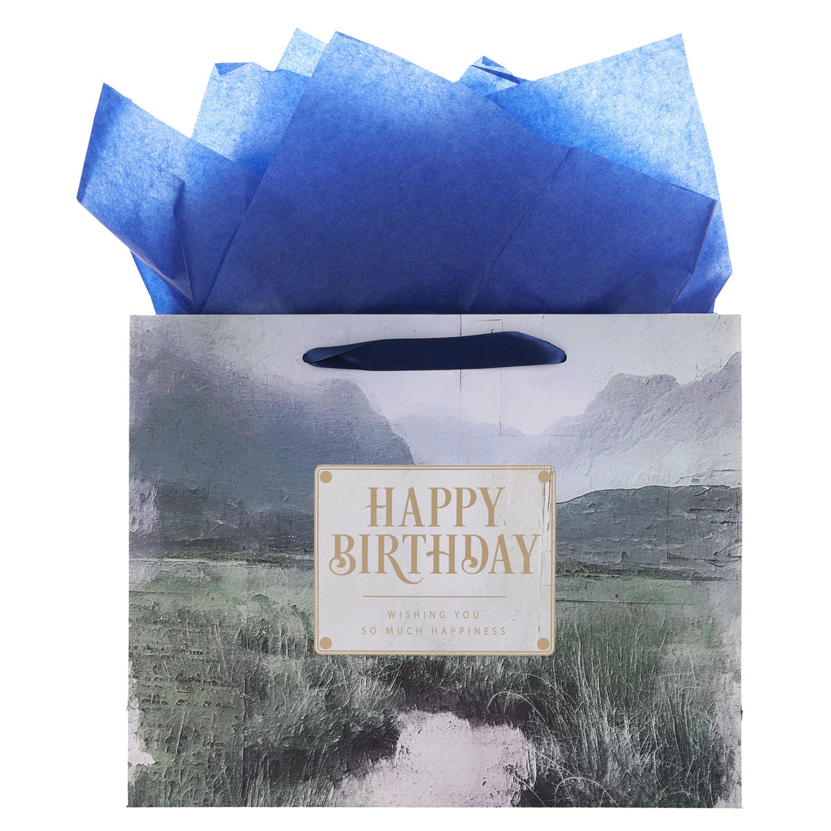 Vally Scene Happy Birthday Large Landscape Gift Bag with Card