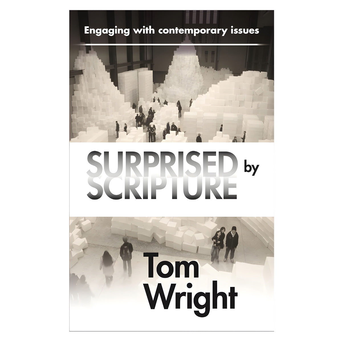 Surprised by Scripture: Engaging with Contemporary Issues (Paperback)
