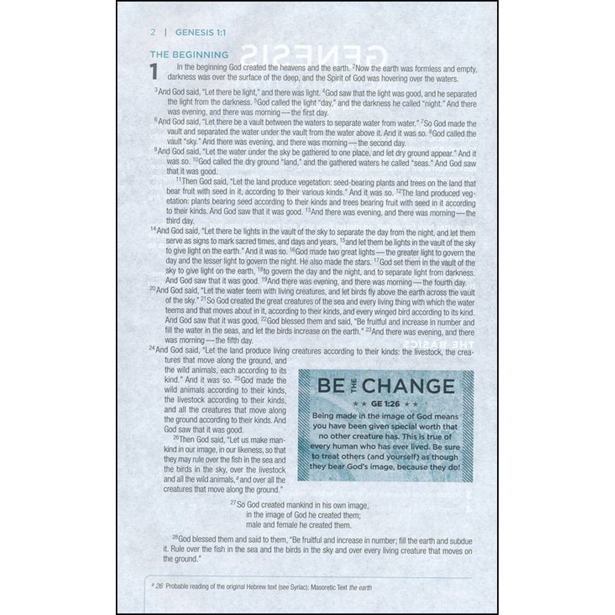 NIV Revolution Bible Gray / Navy (Imitation Leather)