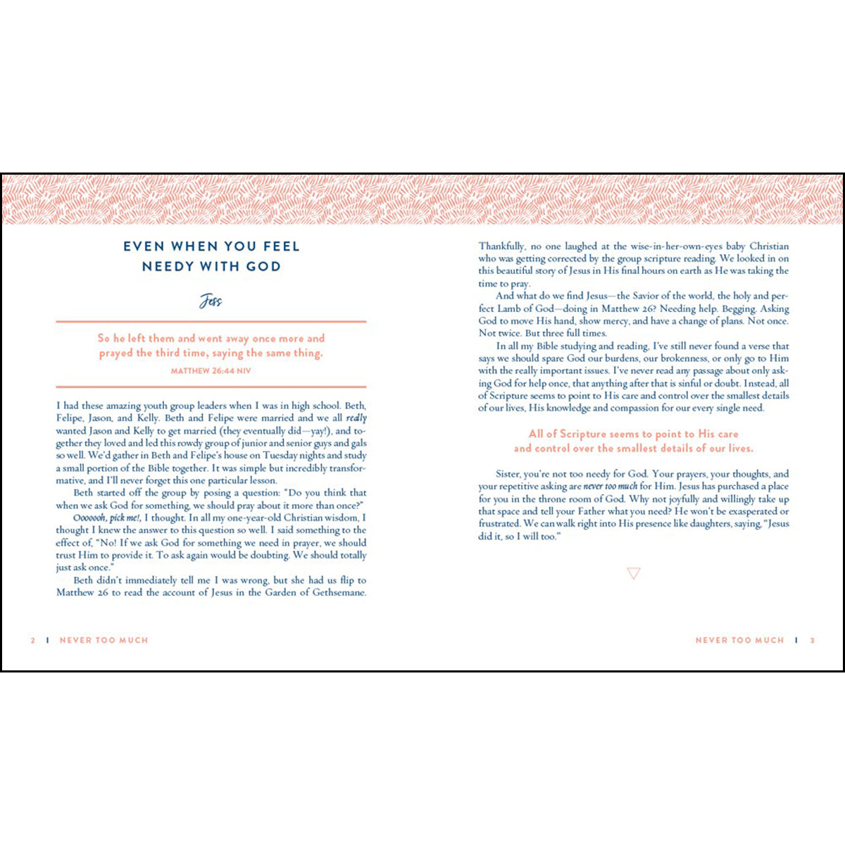 Always Enough, Never Too Much (Hardcover)