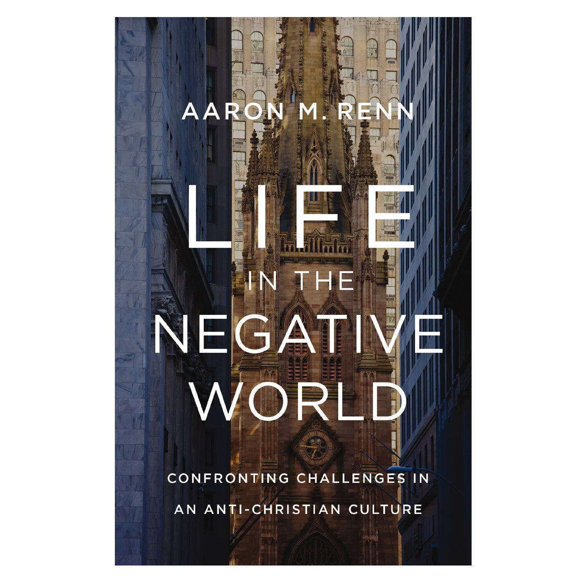 Life in the Negative World: Confronting Challenges in an Anti-Christian Culture HC