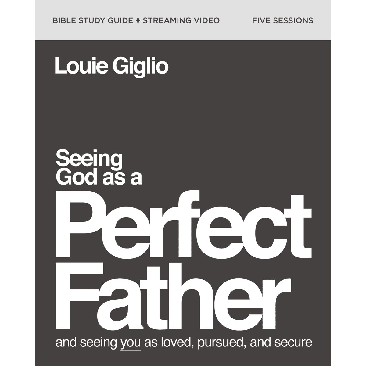 Seeing God As A Perfect Father Bible Study Guide (Paperback)