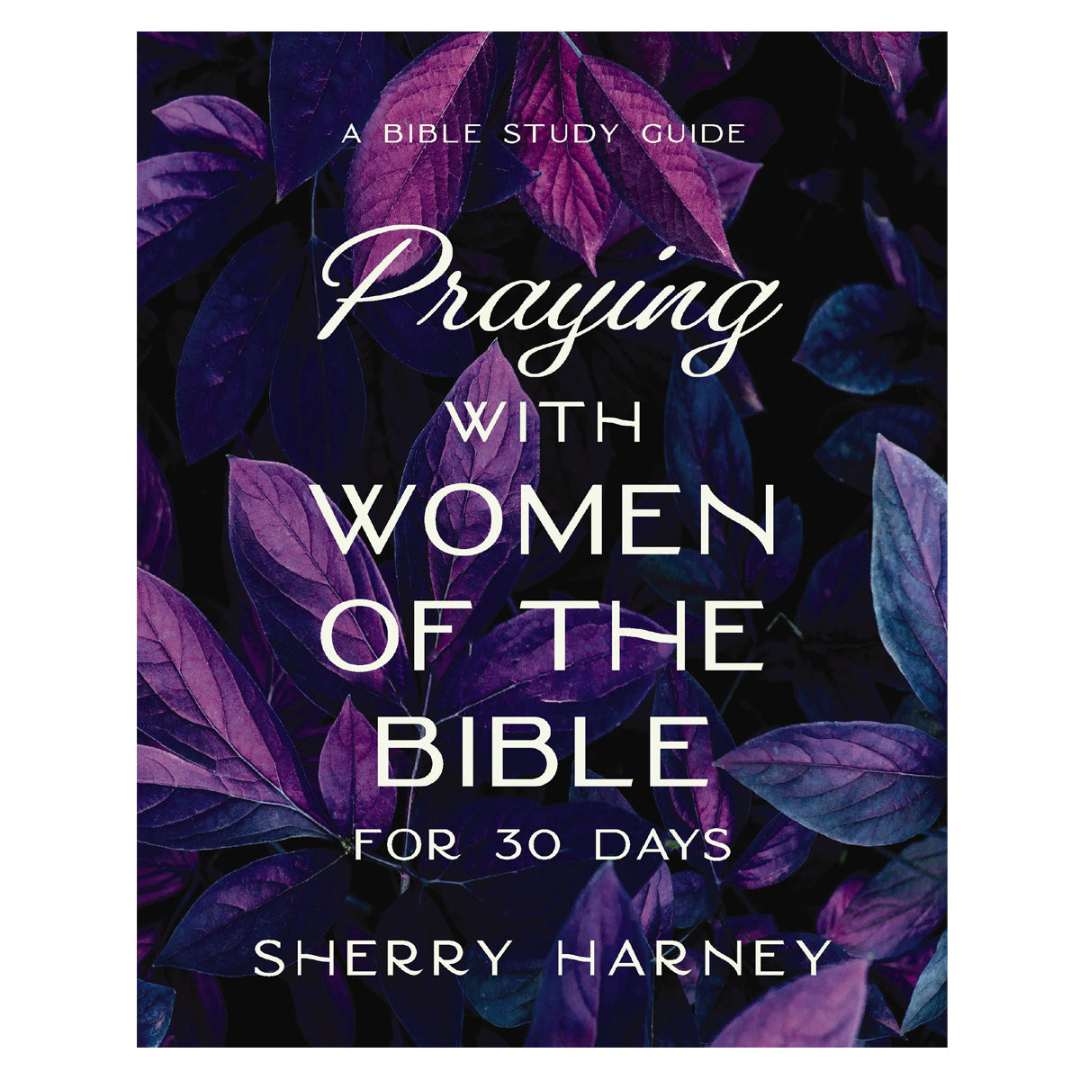 Praying with Women of the Bible for 30 Days: A Bible Study Guide (Paperback)