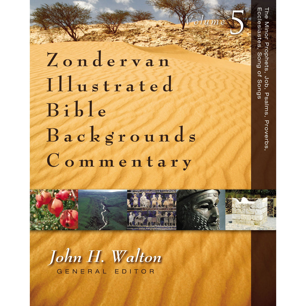 Zondervan Illustrated Bible Backgrounds Commentary Vol 5 (Hardcover)