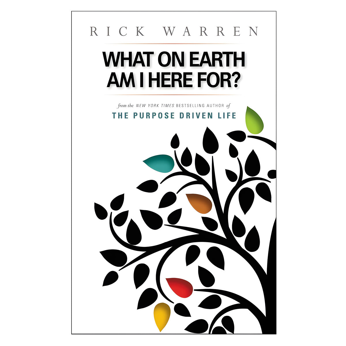 What On Earth Am I Here For (Value Book)(Paperback)
