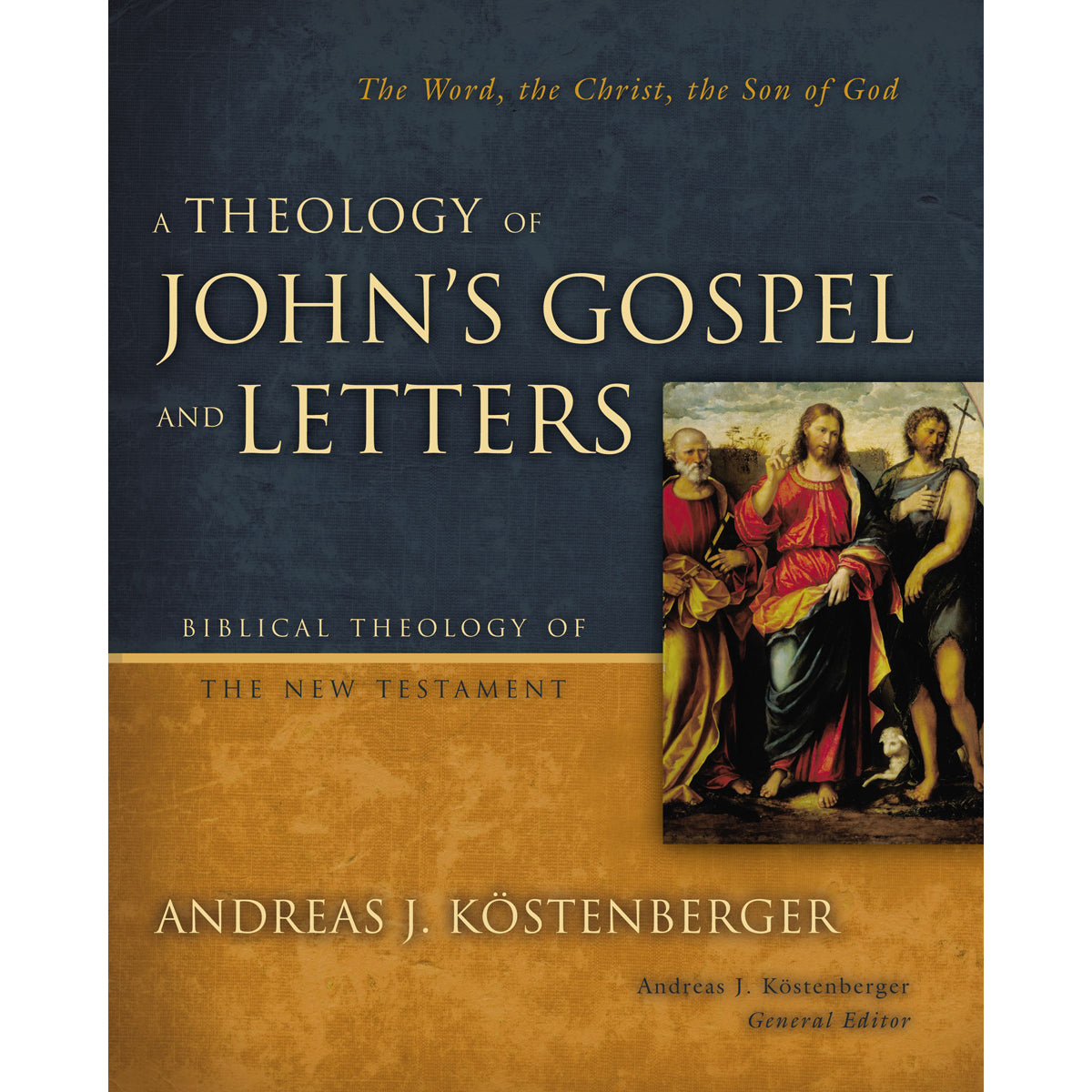 A Theology Of John's Gospel And Letters (Biblical Theology Of The New Testament)(Hardcover)
