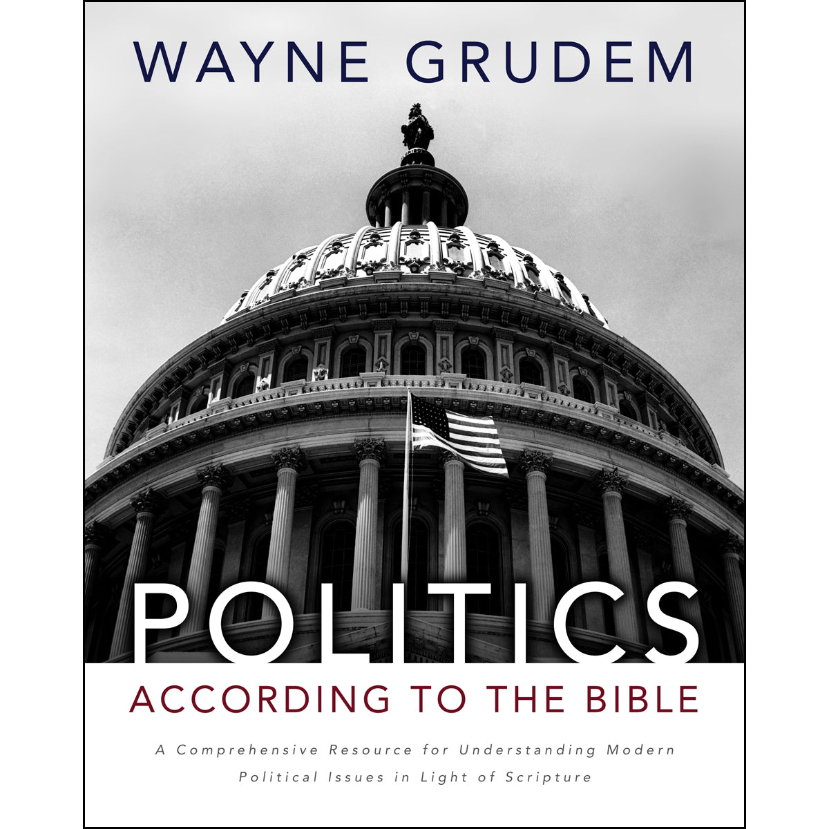 Politics According To The Bible (Hardcover)