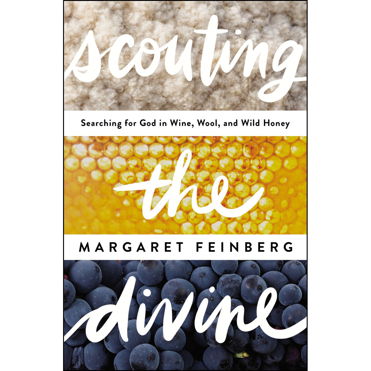Scouting The Divine (Paperback)