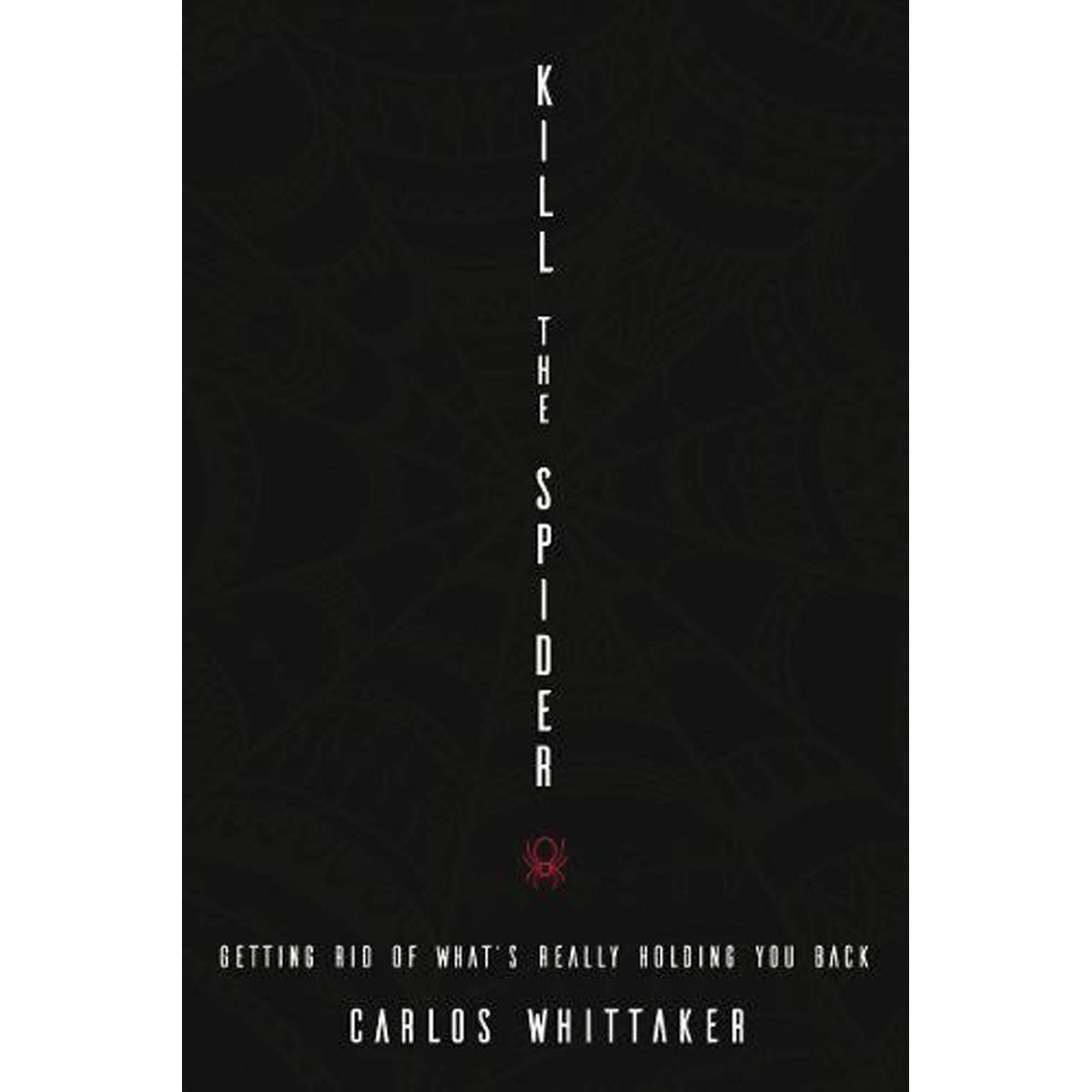 Kill The Spider (Paperback)