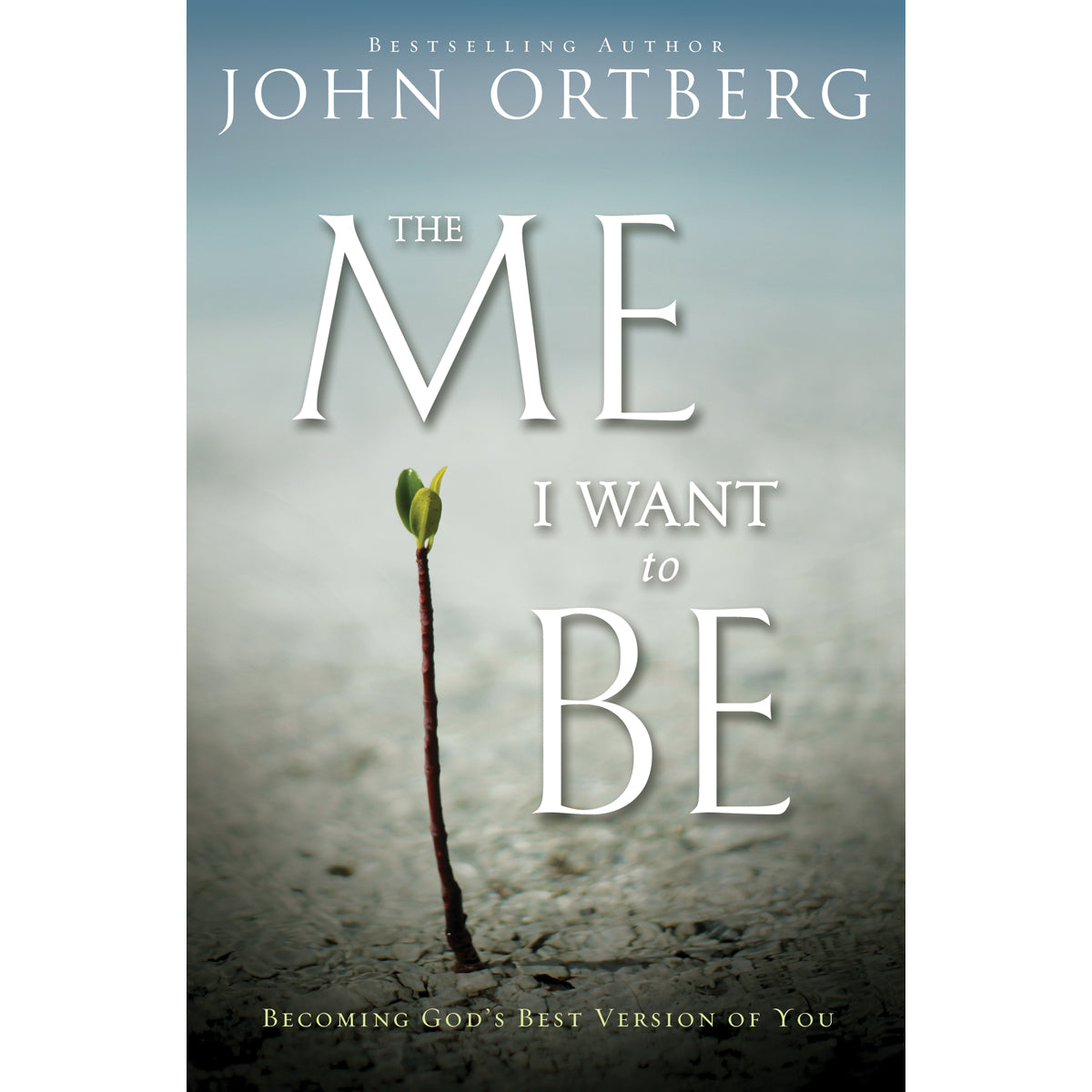 The Me I Want To Be (Paperback)