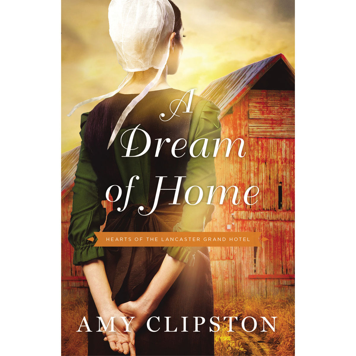 A Dream Of Home (Paperback)