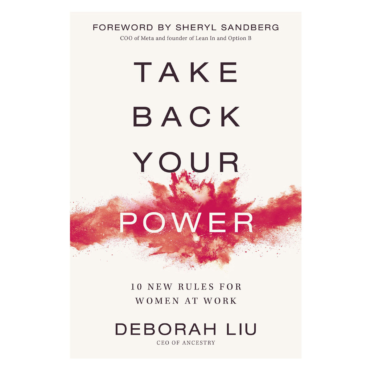 Take Back Your Power: 10 New Rules for Women at Work (Paperback)