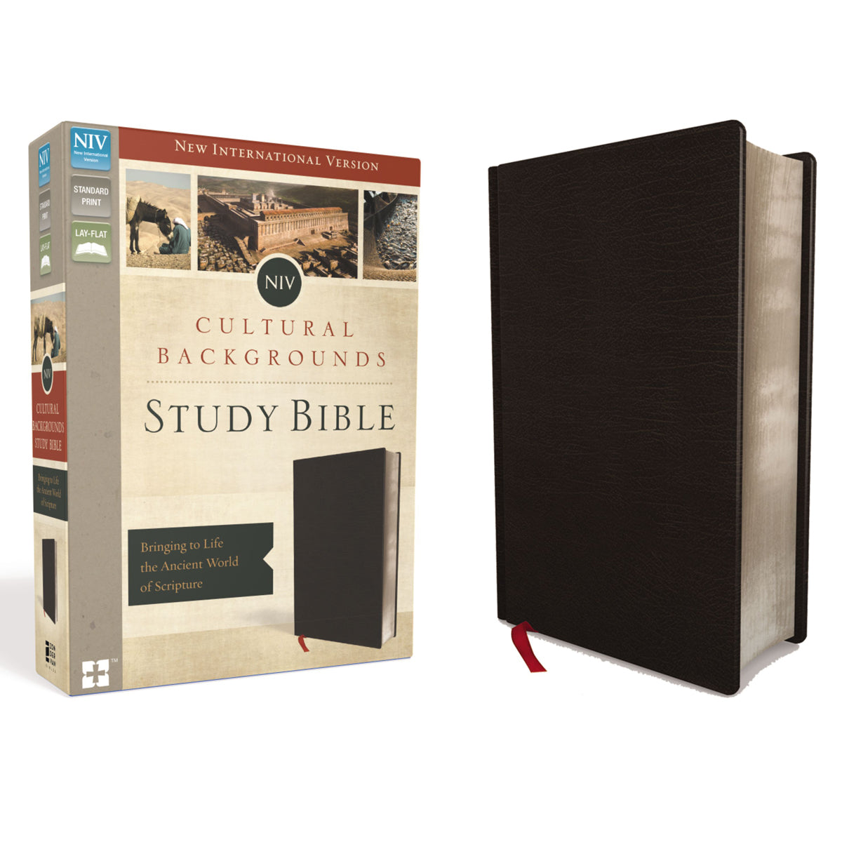 NIV Cultural Backgrounds Study Bible Black (Imitation Leather)