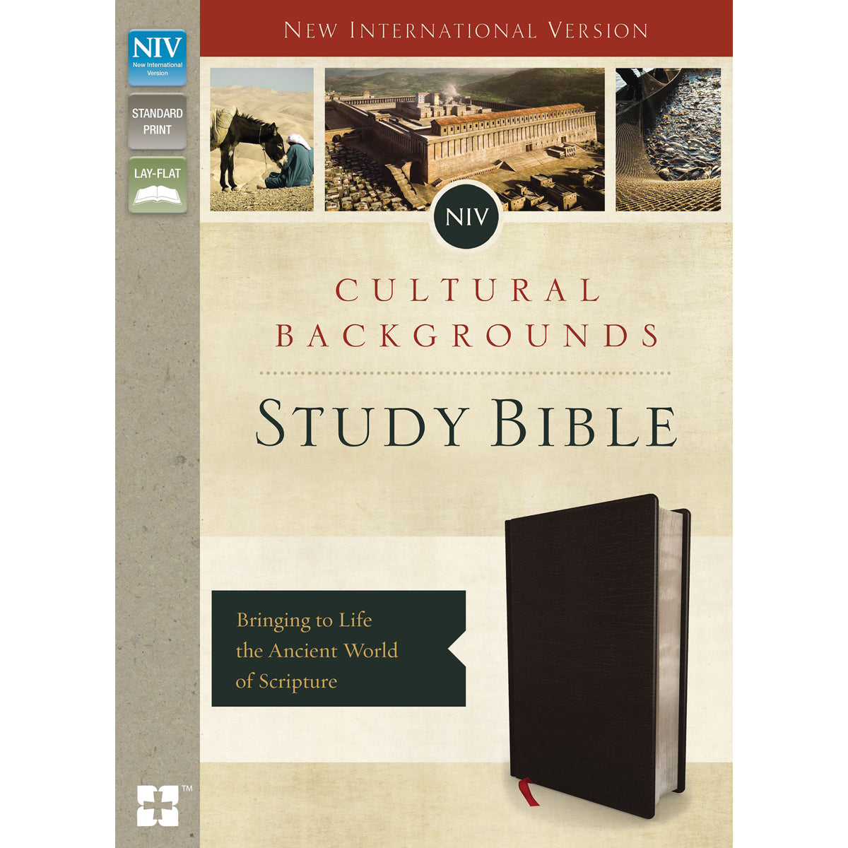 NIV Cultural Backgrounds Study Bible Black (Imitation Leather)