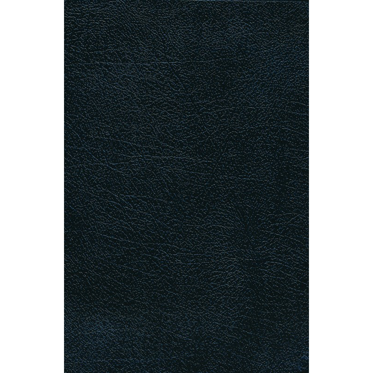 NIV / The Message Parallel Bible Large Print (Bonded Leather)