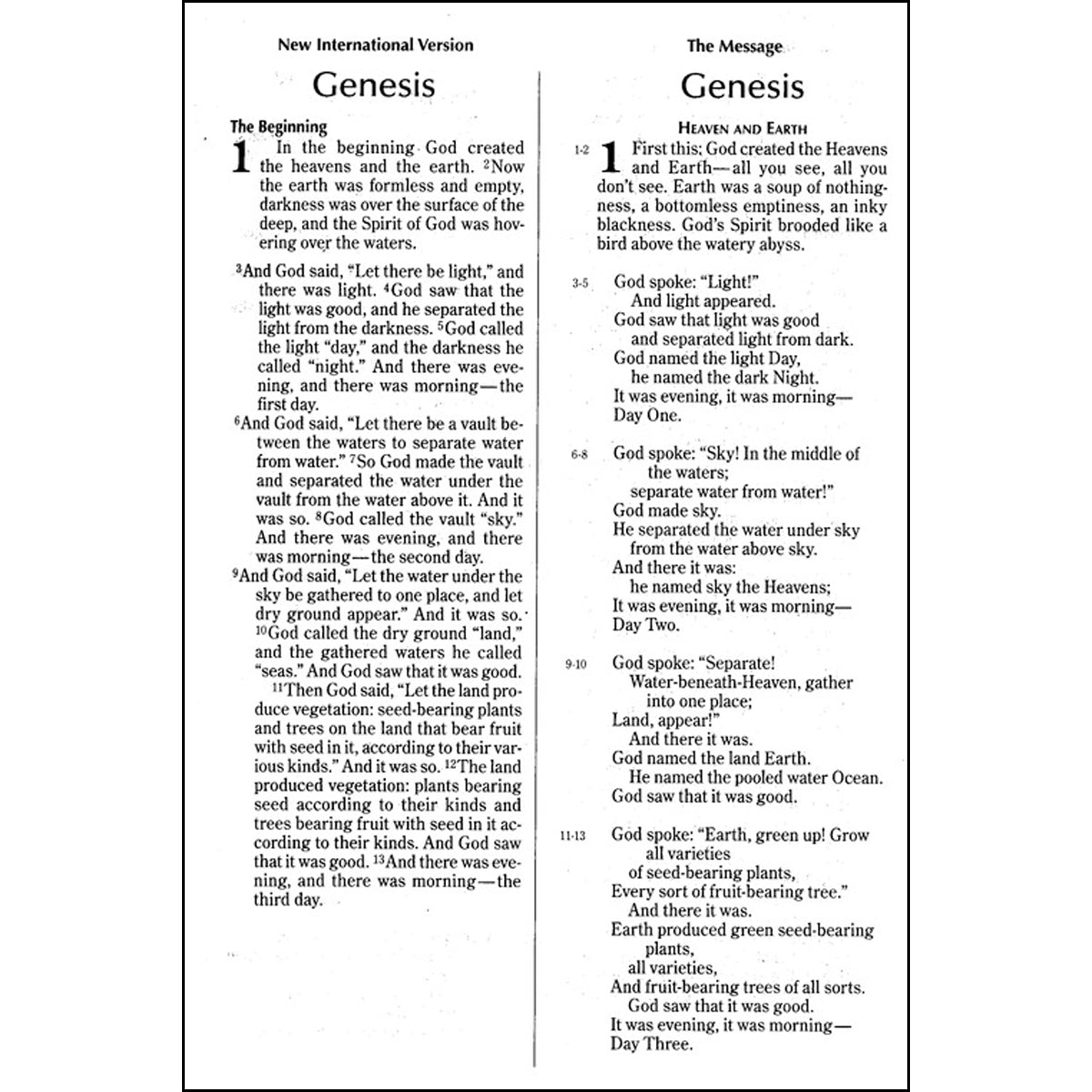 NIV / The Message Parallel Bible Large Print (Bonded Leather)