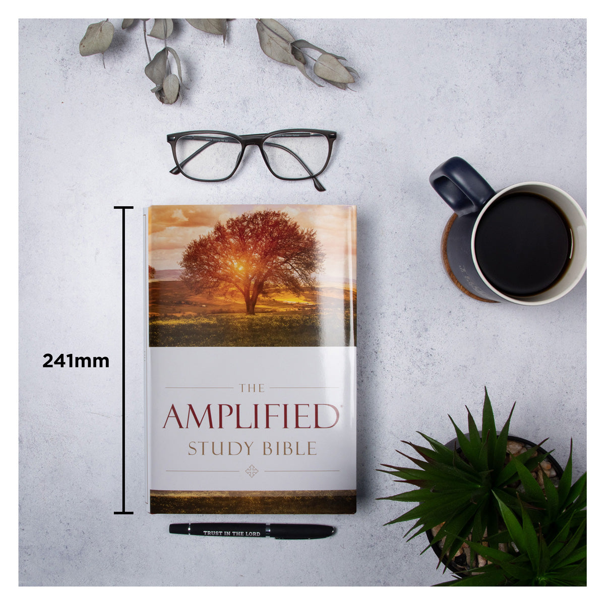Amplified Study Bible Large Print (Hardcover)