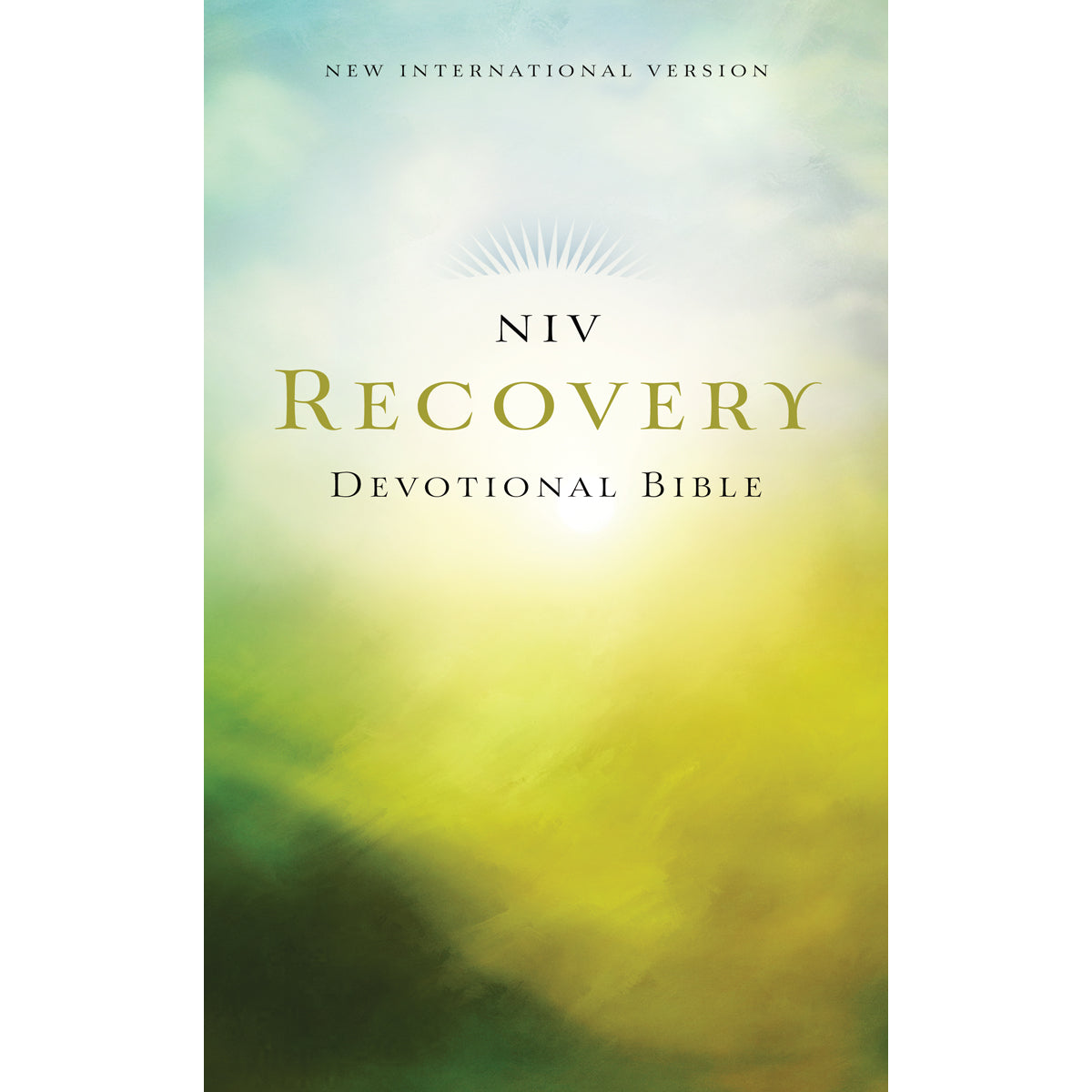 NIV Recovery Devotional Bible (Paperback)