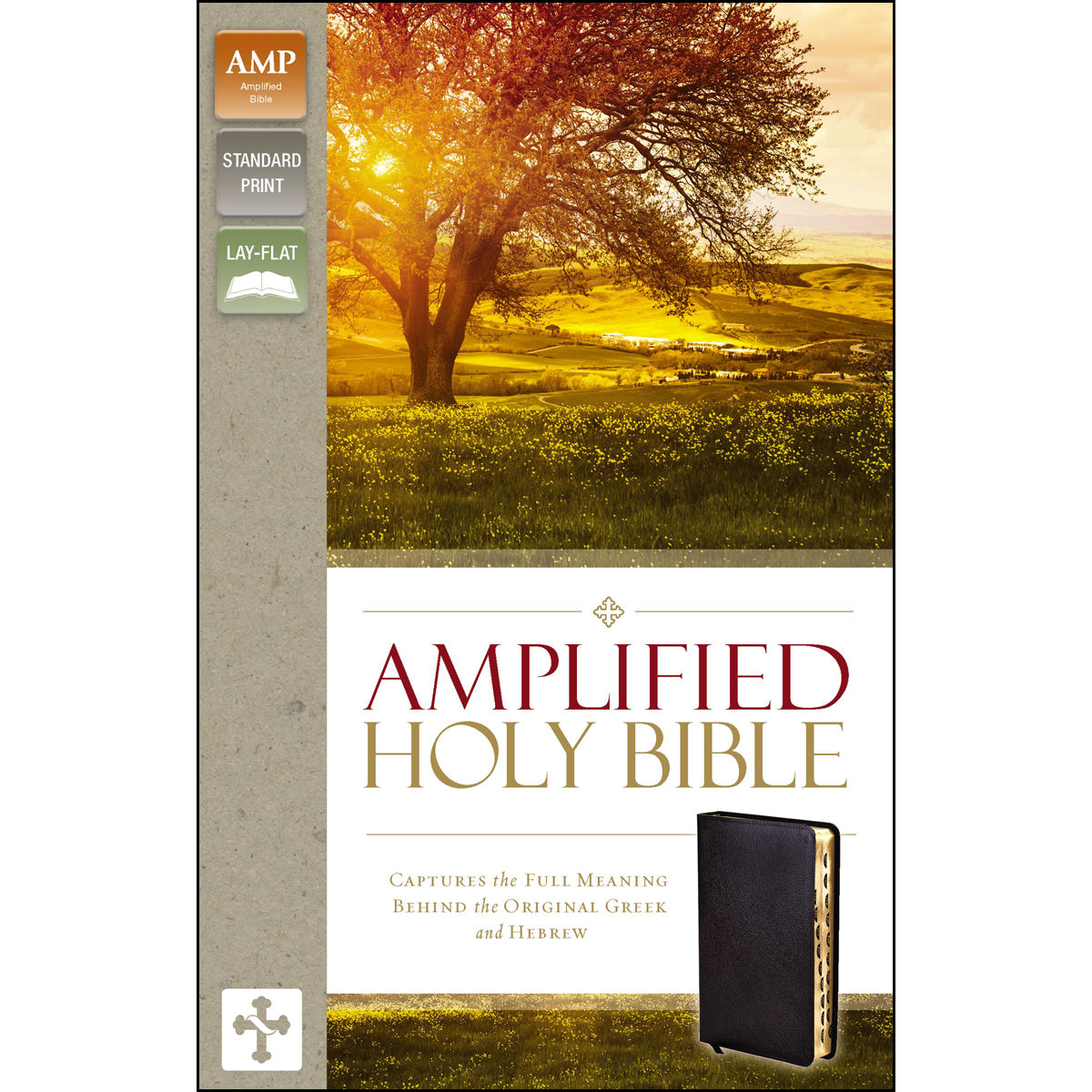 Amplified Holy Bible Indexed Black (Bonded Leather)