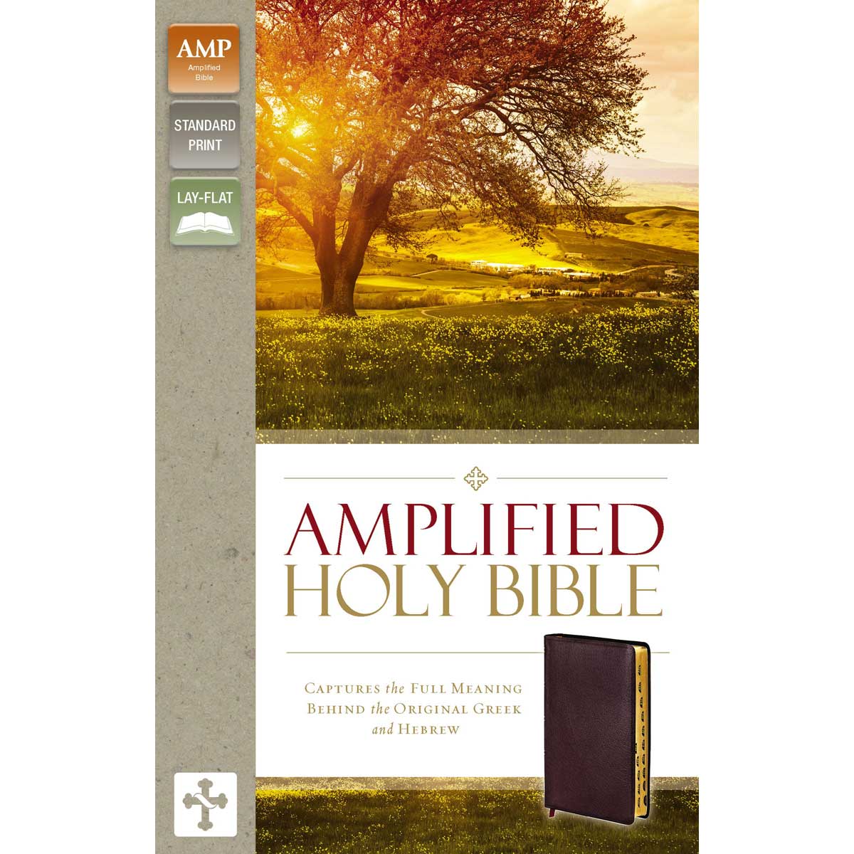 Amplified Holy Bible Indexed Burgundy (Bonded Leather)