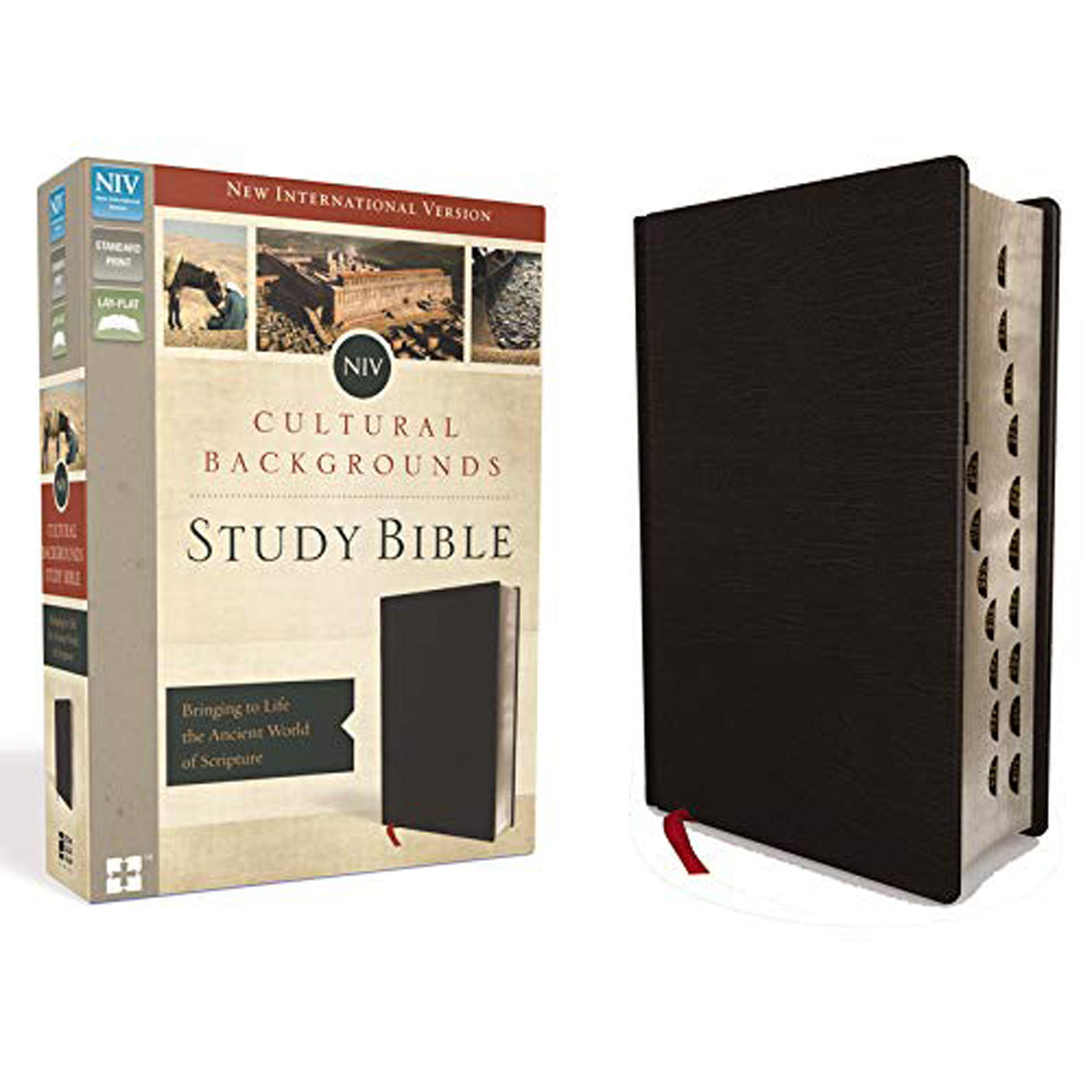 NIV Cultural Backgrounds Study Bible Indexed Black (Imitation Leather)