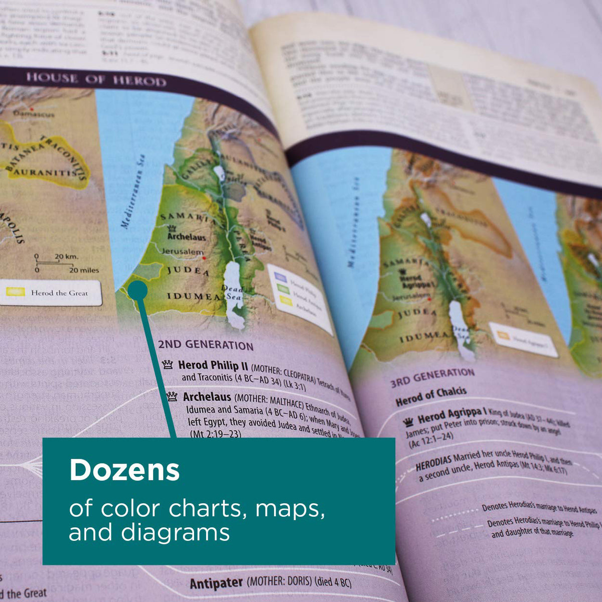 NIV Cultural Backgrounds Study Bible Indexed Black (Imitation Leather)