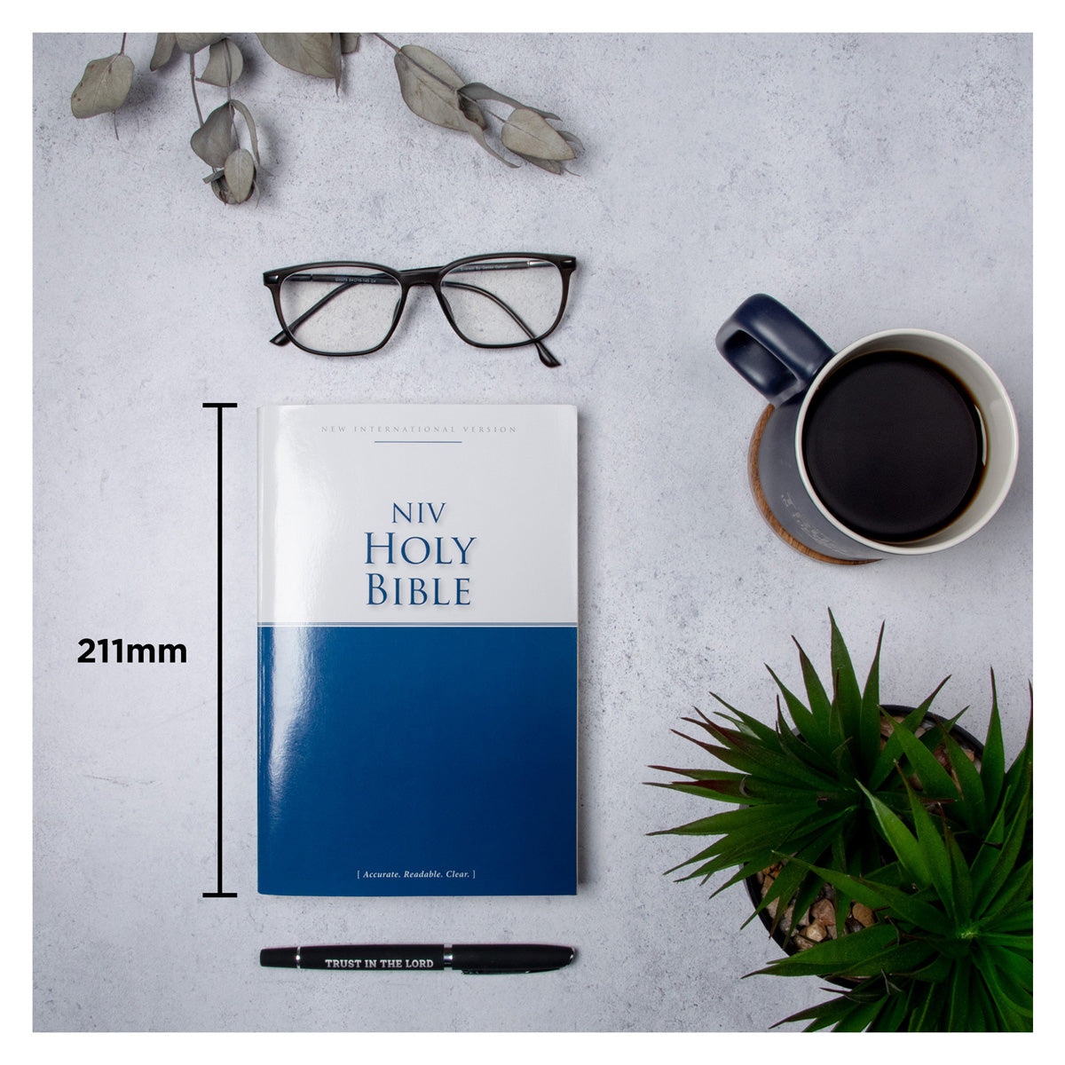 NIV Economy Bible (Paperback)