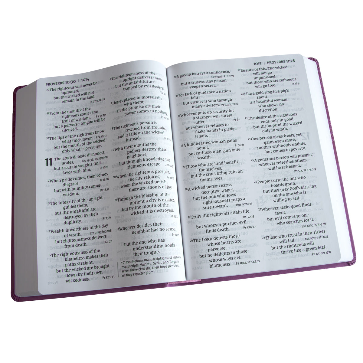 NIV Reference Bible Red Letter Super Giant Print Pink (Imitation Leather)