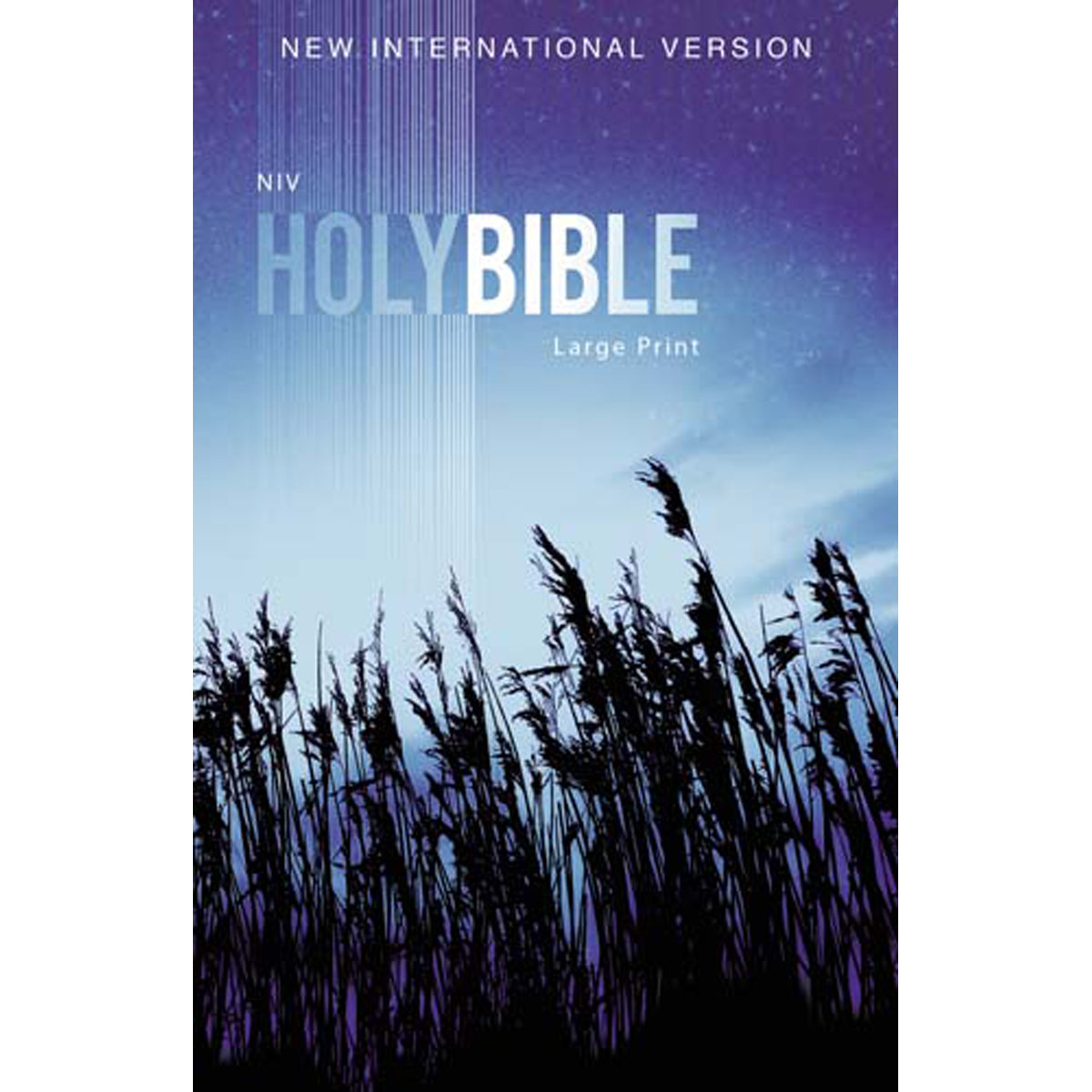 NIV Outreach Bible Large Print Blue Wheat (Paperback)