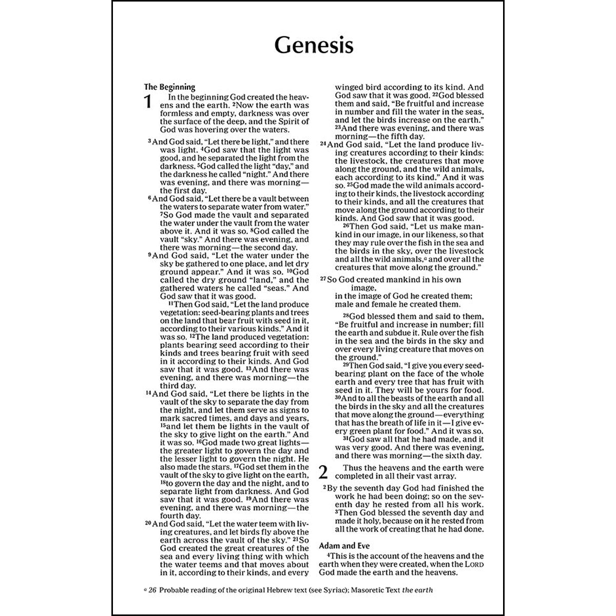 NIV Value Outreach Bible Green Forest Path (Paperback)