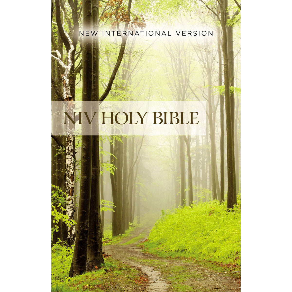 NIV Value Outreach Bible Green Forest Path (Paperback)
