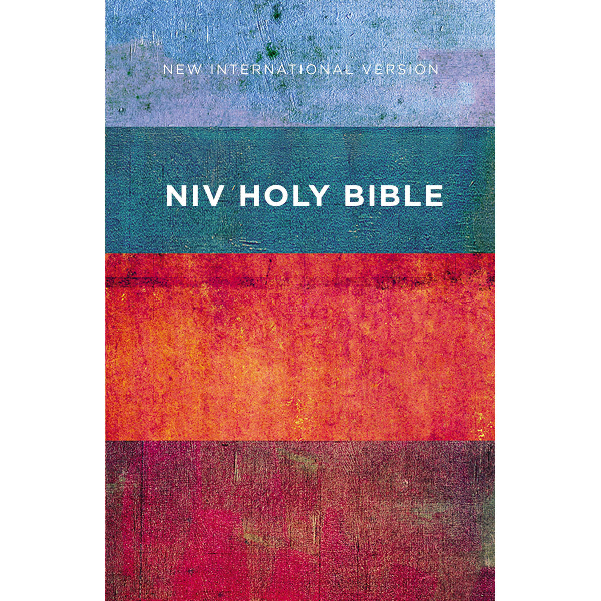 NIV Value Outreach Bible Red / Blue Stripes (Paperback)