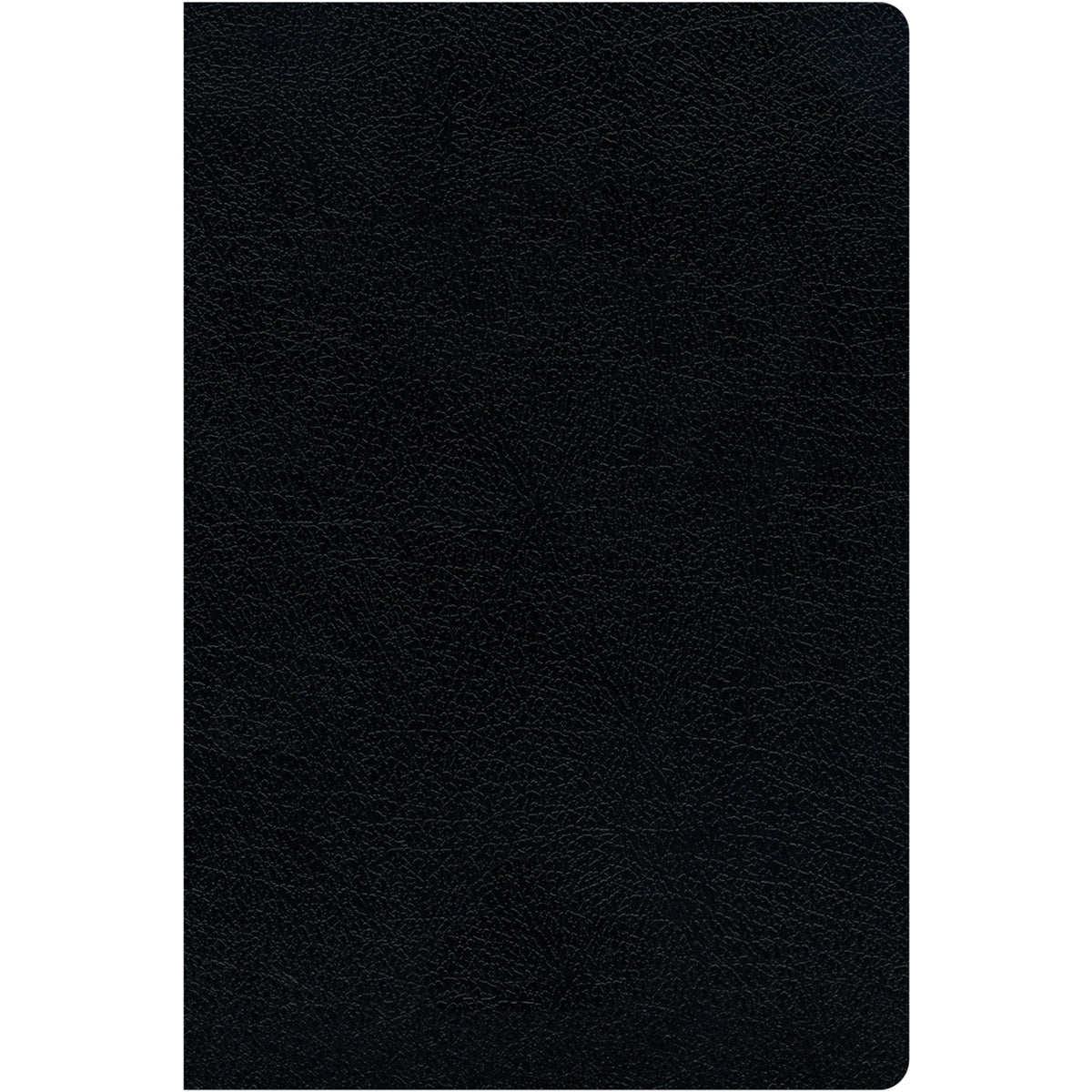 KJV / Amplified Parallel Bib Large Print Red Letter Edt Black (Bonded Leather)