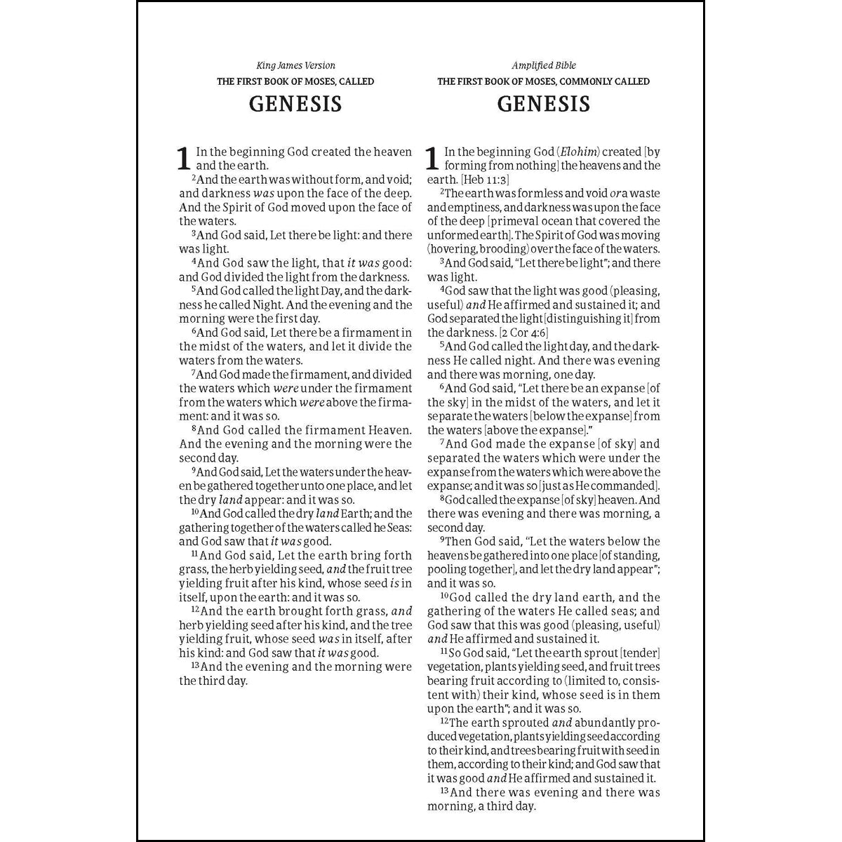 KJV / Amplified Parallel Large Print Tan / Burgundy Red Letter (Imitation Leather, Ribbon Marker)