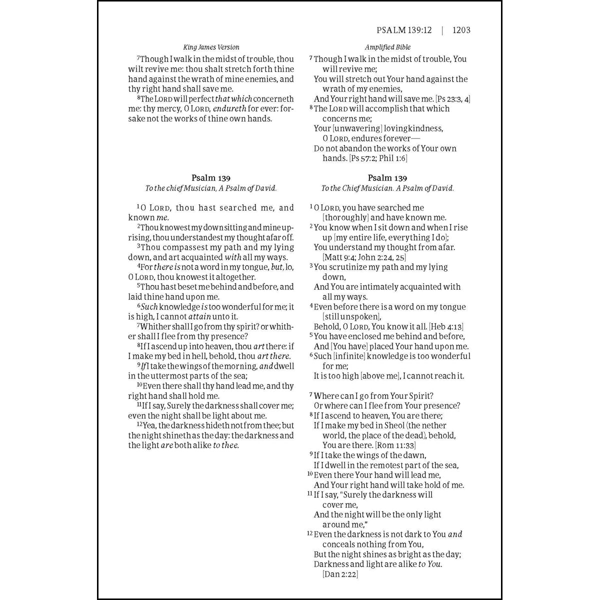 KJV / Amplified Parallel Large Print Tan / Burgundy Red Letter (Imitation Leather, Ribbon Marker)