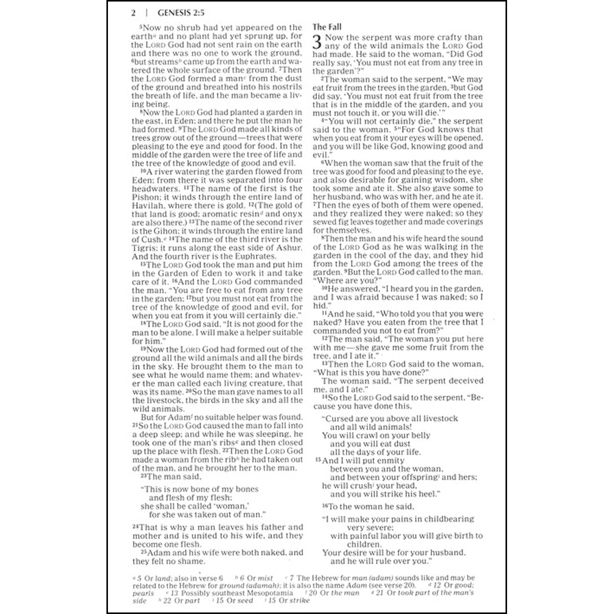 NIV Value Outreach Bible Blue Wheat (Paperback)