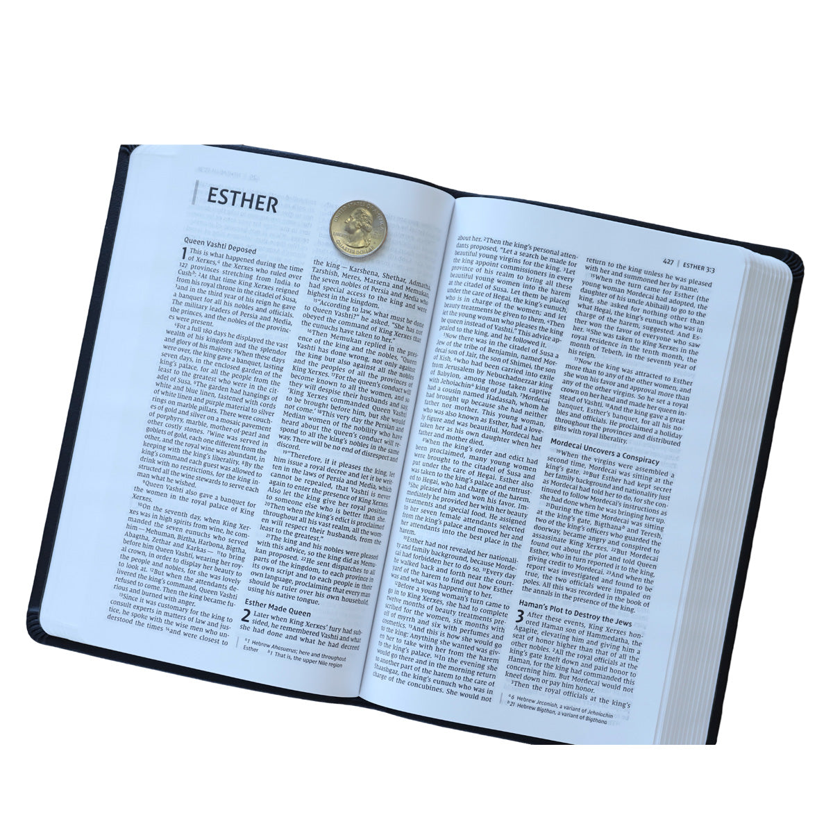 NIV Value Thinline Bib Gray / Black (Comfort Print)(Imitation Leather)