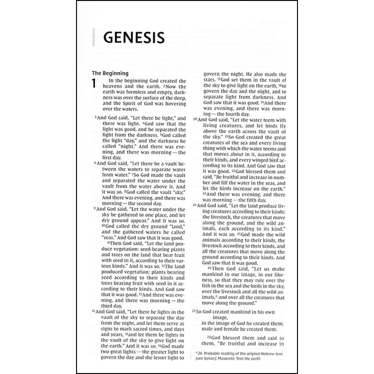 NIV Value Thinline Bible Brown (Comfort Print)(Imitation Leather)