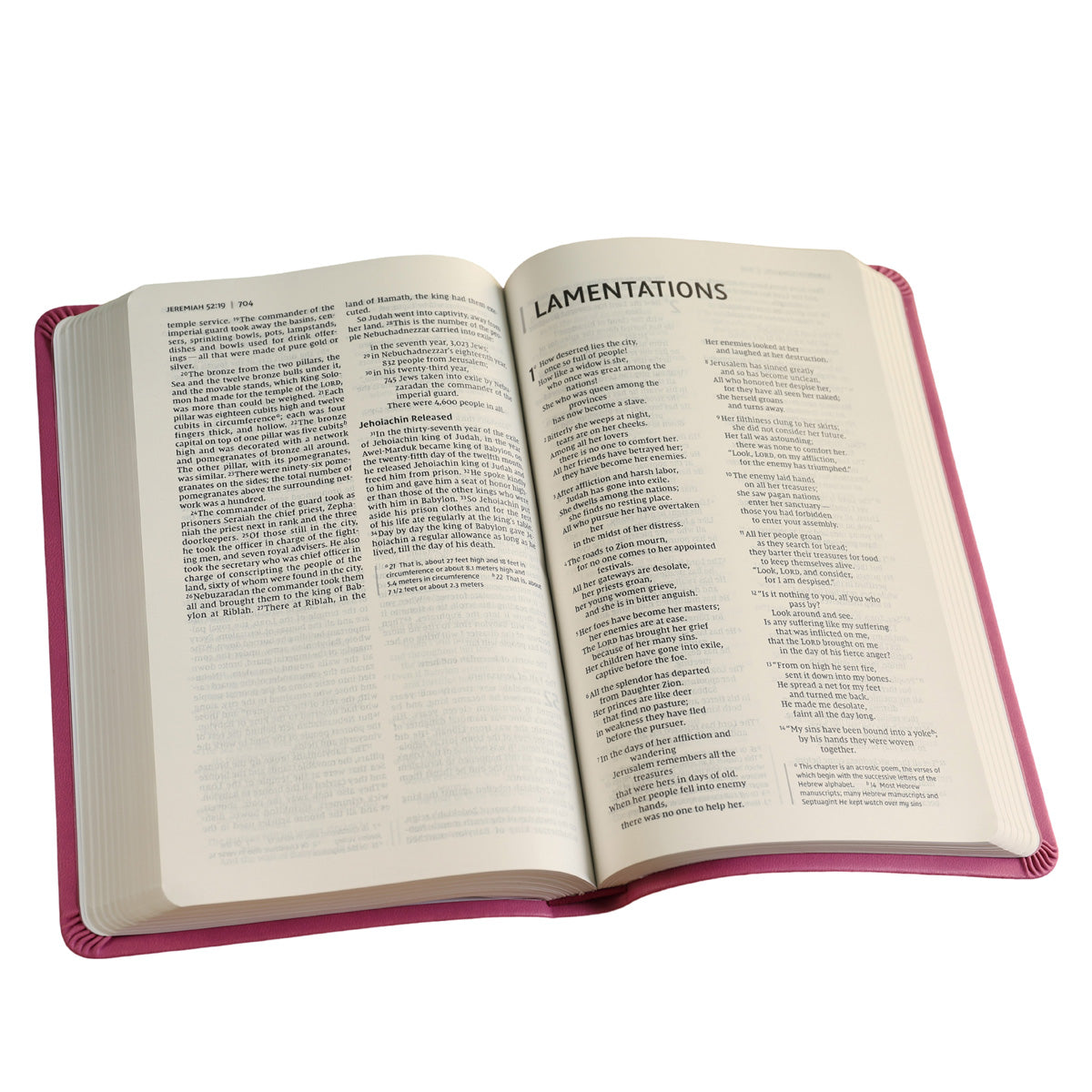 NIV Value Thinline Bible Pink (Comfort Print)(Imitation Leather)