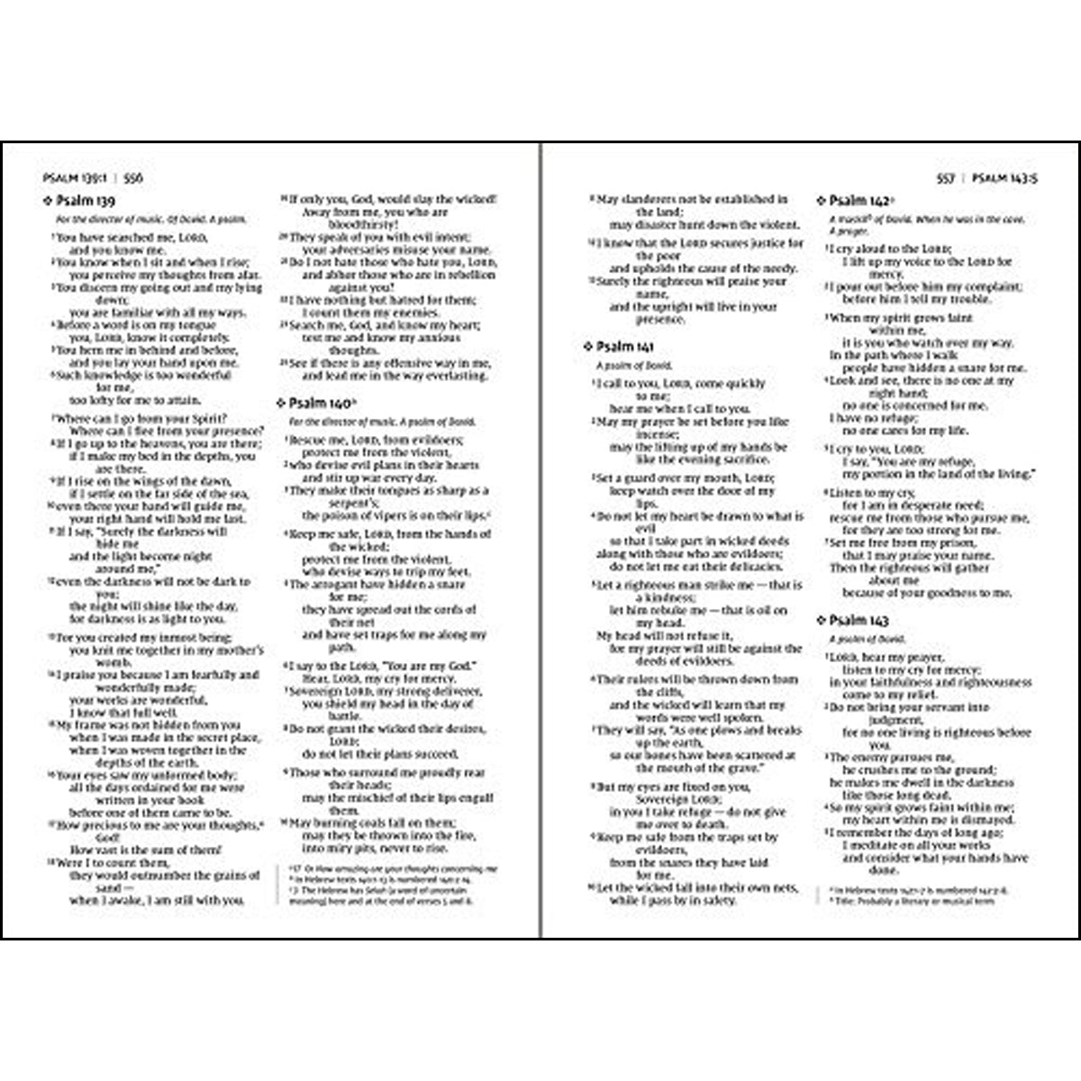 NIV Value Thinline Bible Large Print Gray / Black(Comfort Print)(Imitation Leather