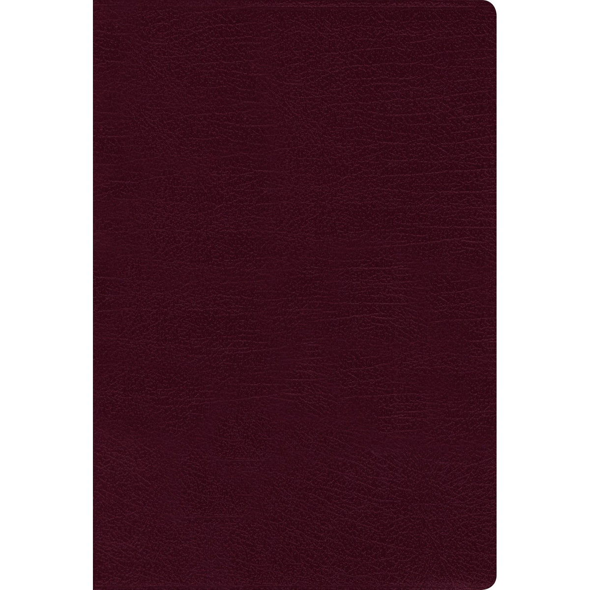 NIV Thinline Bible Burgundy Red Letter Edition (Comfort Print)(Bonded Leather)